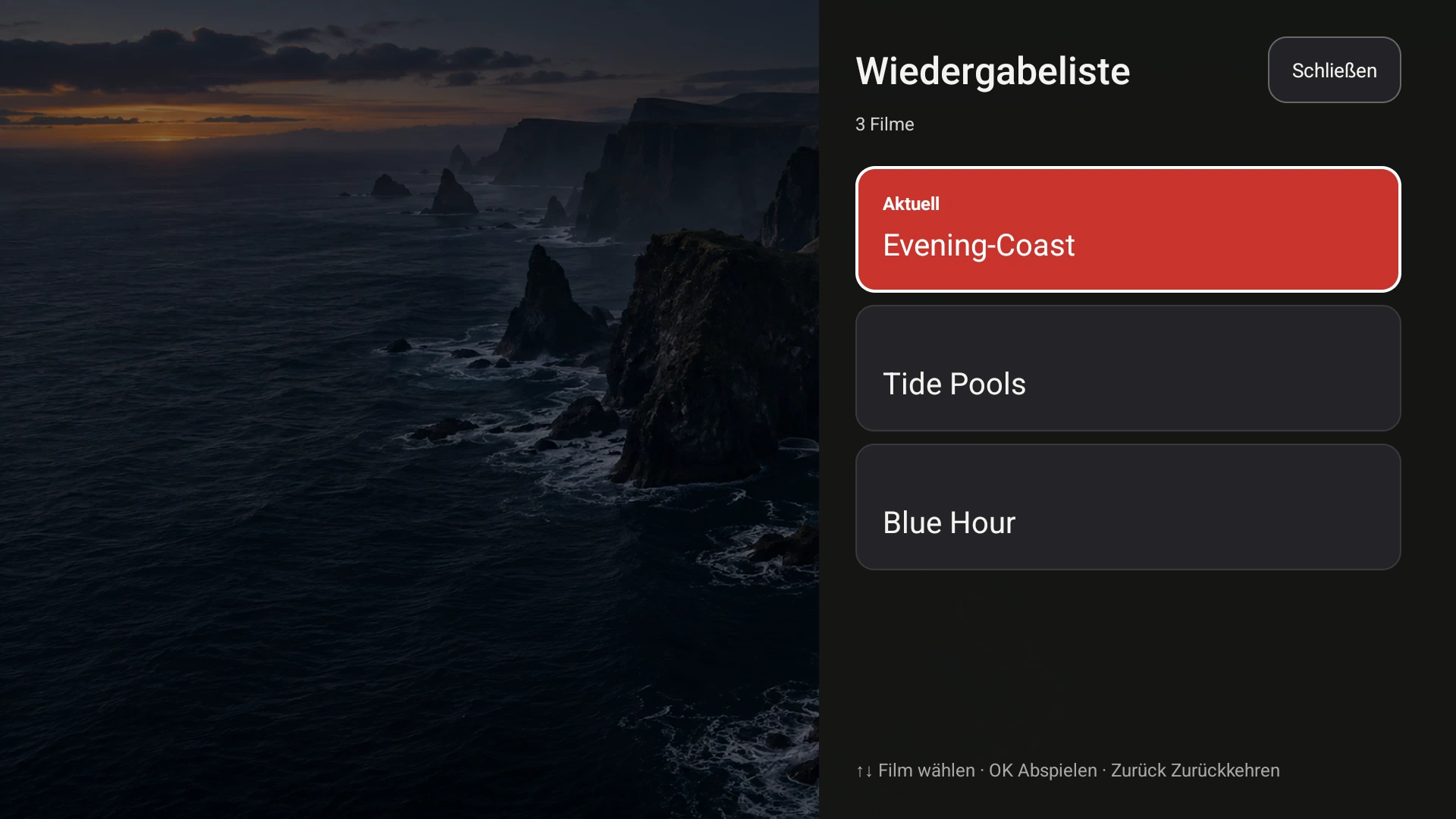 Die Google TV-Playlist von Fast TV, die Evening Coast und zwei weitere lokale Demo-Videos zeigt
