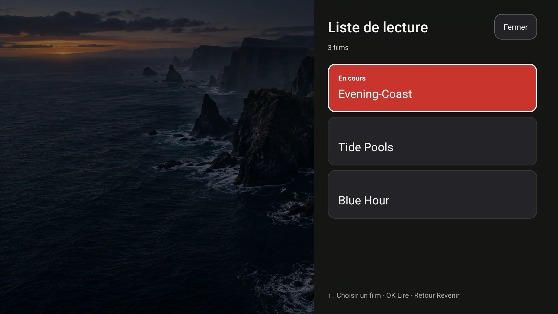 Liste de lecture Google TV de Fast TV, montrant Evening Coast et deux autres vidéos de démonstration locales