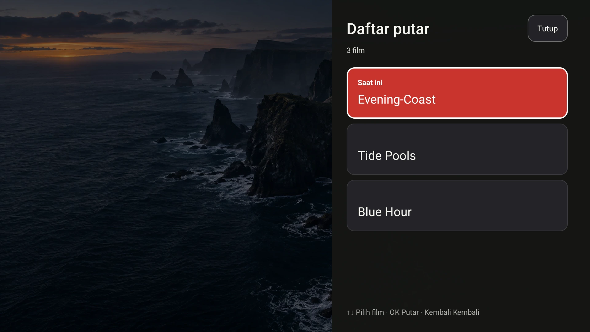Daftar putar Google TV Fast TV, menampilkan Evening Coast dan dua video demo lokal lainnya
