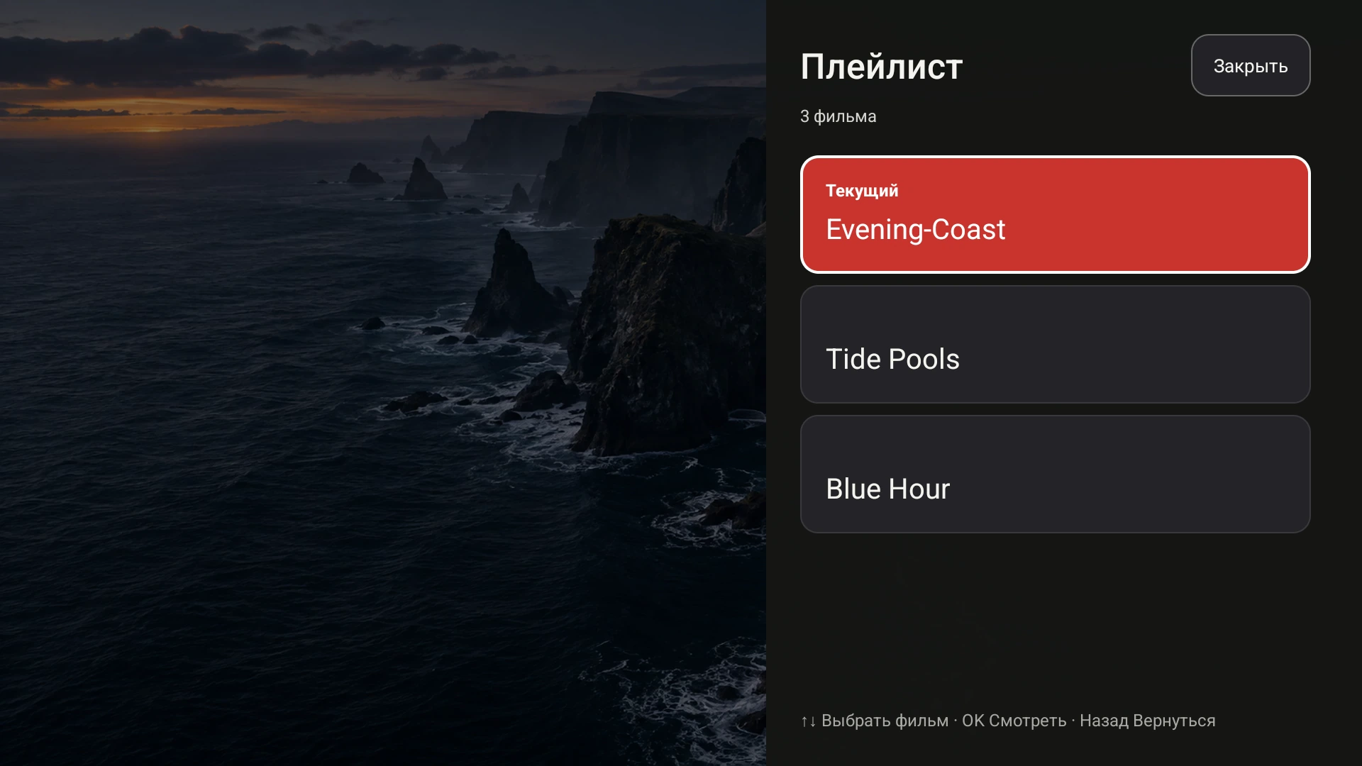 Плейлист Fast TV на Google TV, показывающий Evening Coast и еще два локальных демо-видео